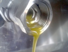 Ildebrandino - La frangitura delle olive