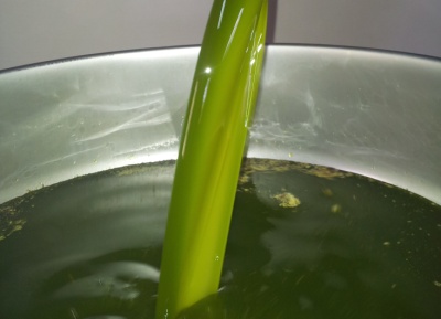 Olio extravergine di oliva biologico Ildebrandino
